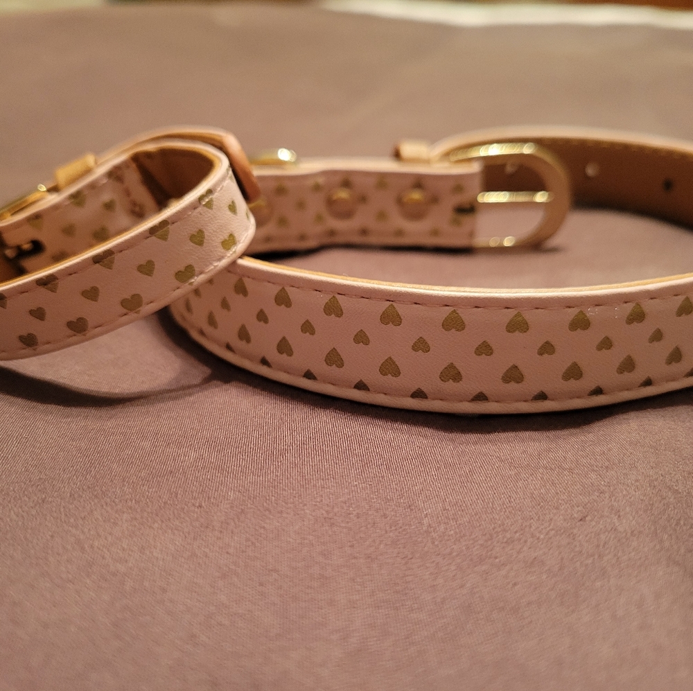 Friendship Collar & Bracelet. You and your fur baby always have a connection.